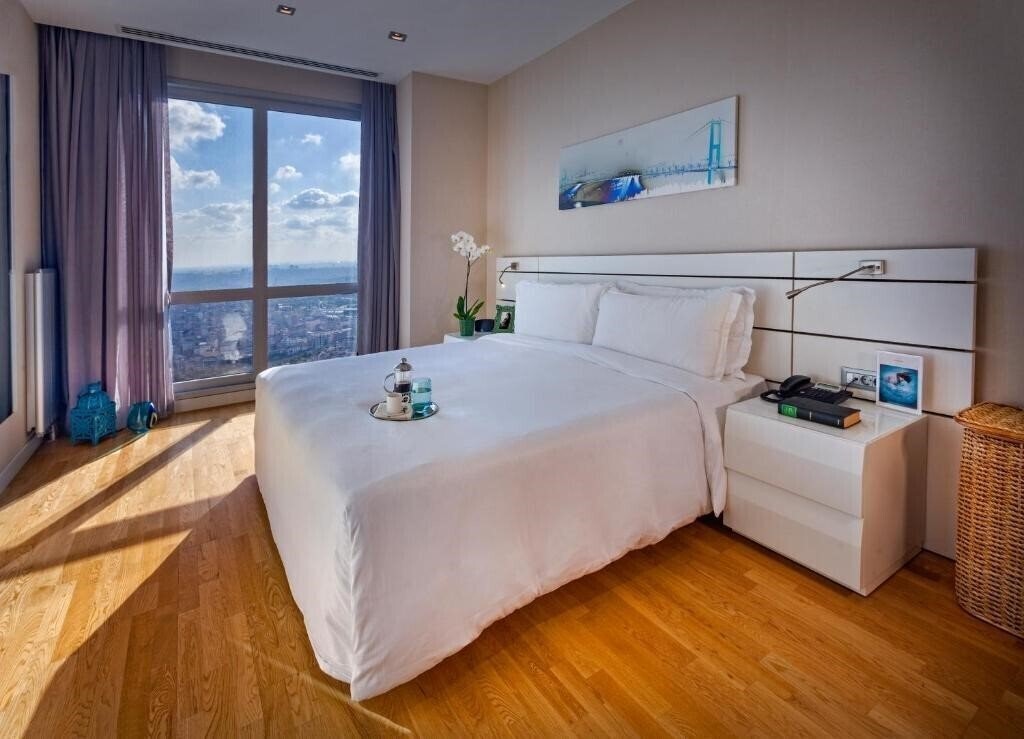 Imaginea Fraser Place Anthill Istanbul 4*