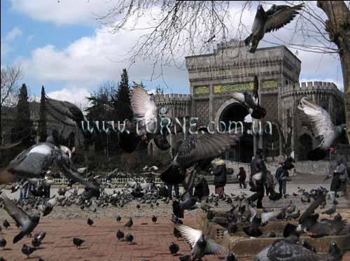 Hotel Beynova 4*