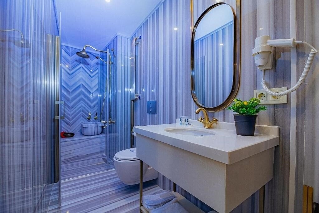 Изображение The Milltown Hotel (ex. The Milltown Sisli, Comfort Beige) 3*