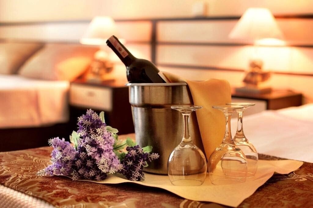 Отель Family Resort Spa & Thalasso Termal 4*