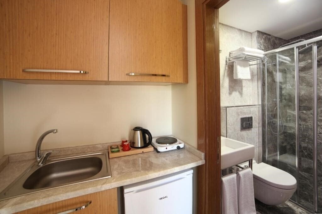 Fotografie The Fox Hotels Taksim 4*