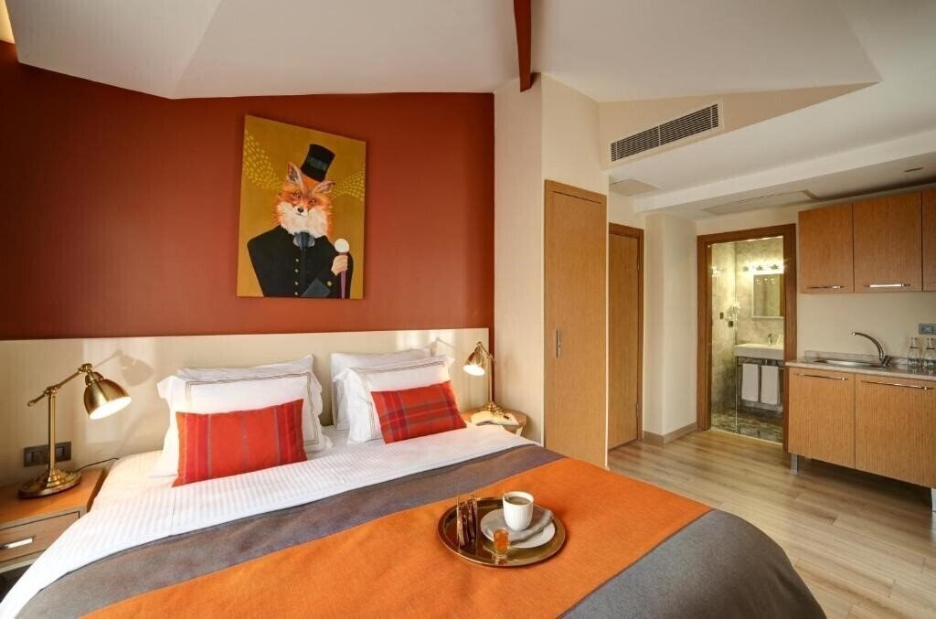 Imaginea The Fox Hotels Taksim 4*
