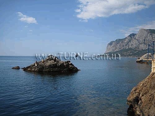 Фотография Дельфин база отдыха