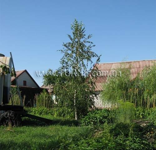 Hotel Рыбачий база отдыха