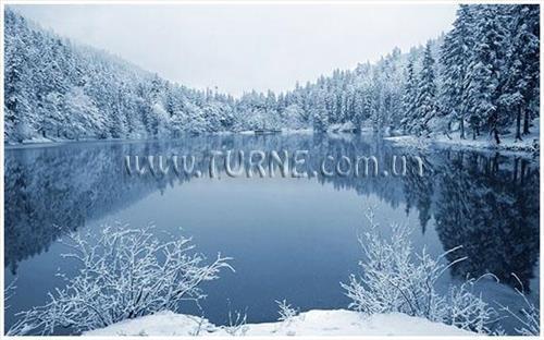 Фотография Синевирское Озеро Бо база отдыха