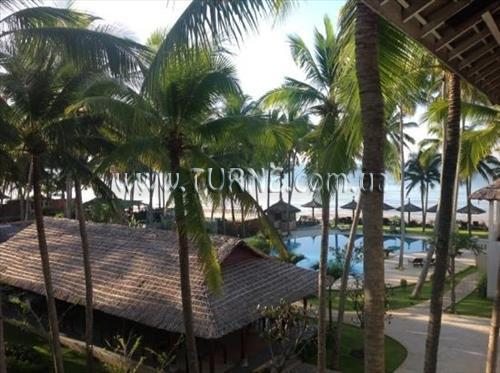 Fotografii Little Paris 3*