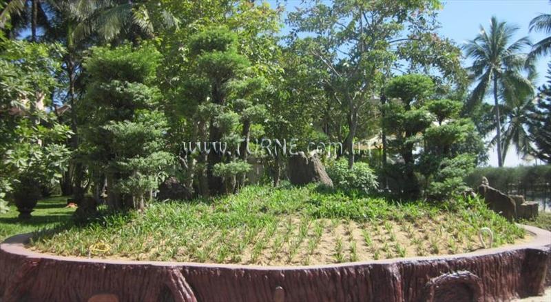 Imaginea Hoi An Riverside 4*