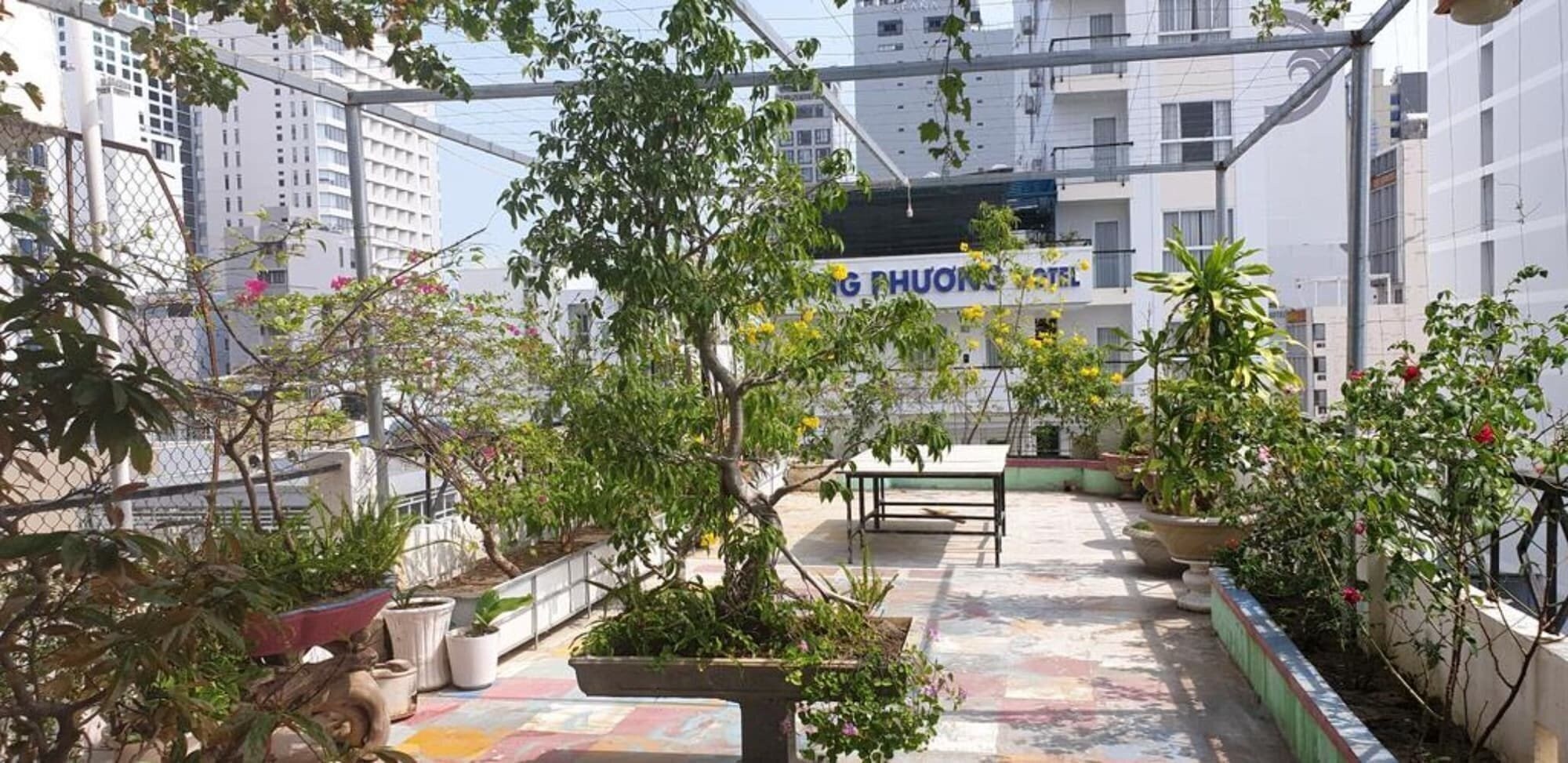 Fotografii Ximao Hotel Nha Trang by Zuzu 3*