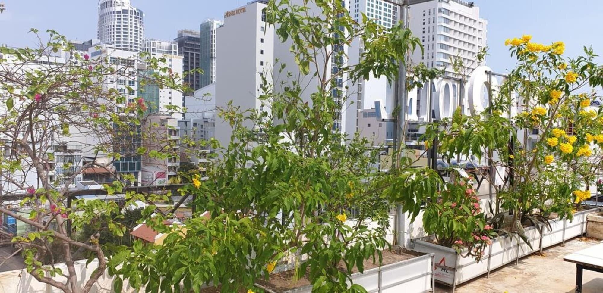 Hotel Ximao Hotel Nha Trang by Zuzu 3*