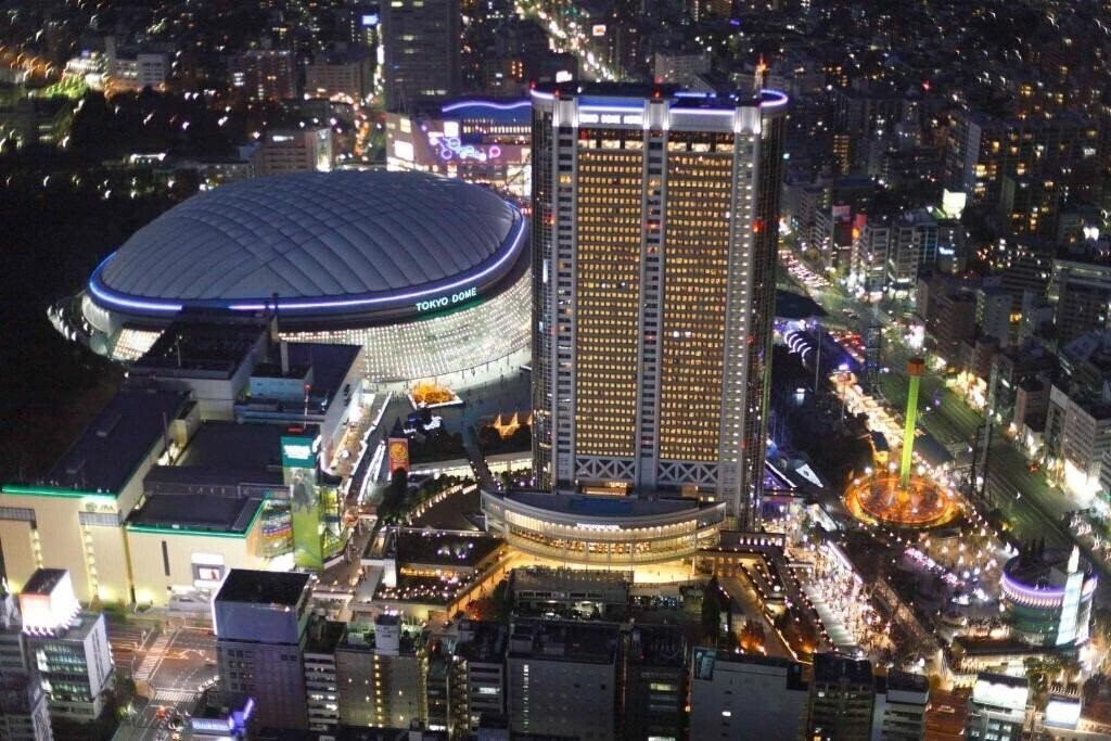 Отель Tokyo Dome 3*