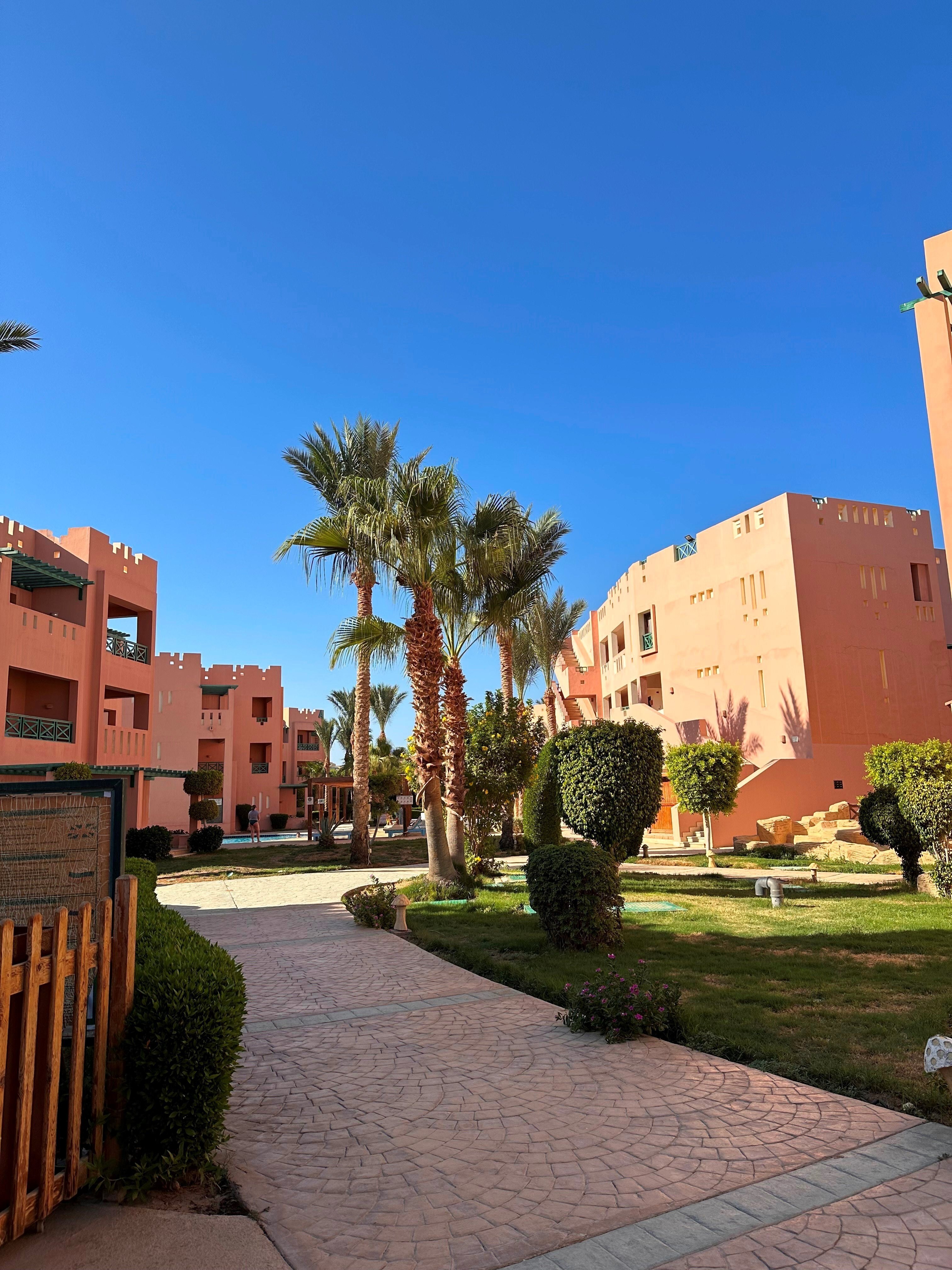 Rehana sharm resort 4 отзывы. Рехана Шарм. Rehana Sharm Egypt. Rehana Sharm Resort туры. Rehana.