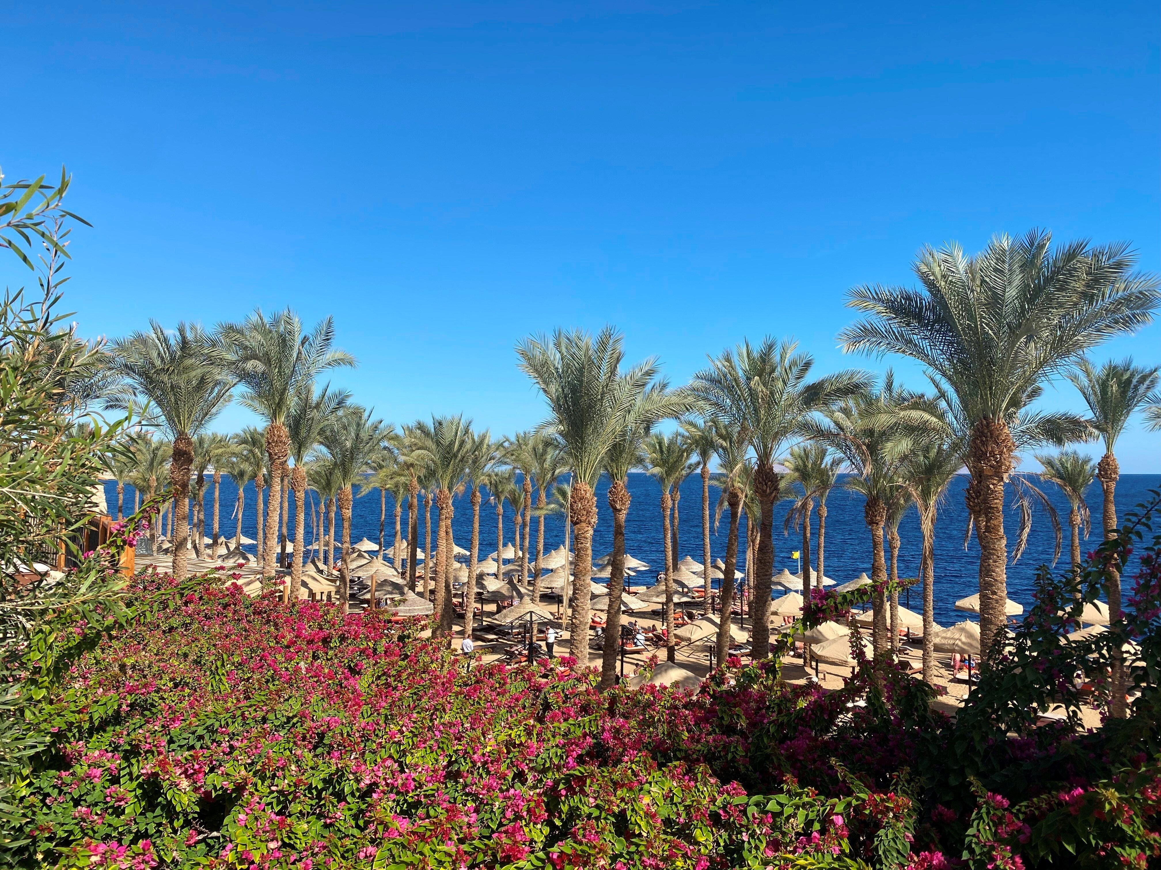 Парк hollywood sharm el sheikh